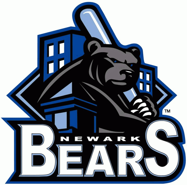 Newark Bears 2009-2010 Primary Logo iron on transfers for T-shirts